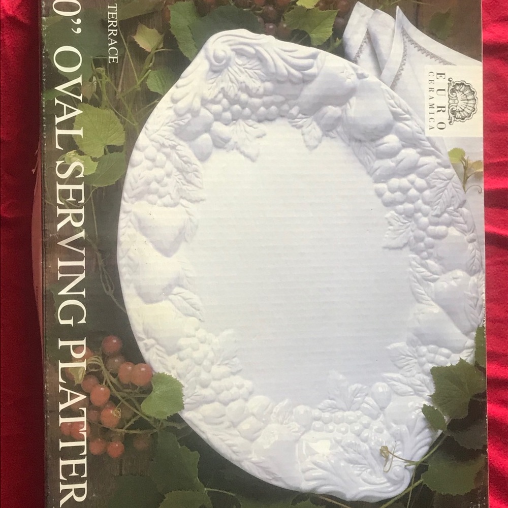 Gorgeous Euro Ceramica Fruit Terrace 20x16 Platter